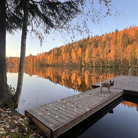 Iken Moekit Βίλα Heinola Εξωτερικό φωτογραφία
